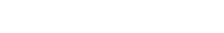 DKSF100
